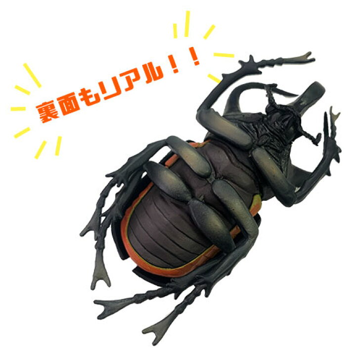 楽天市場 5体セット リアル 昆虫 ギミック フィギュア 甲虫 ヘラクレスオオカブト ミヤマクワガタ アトラスオオカブト ノコギリ 虫 ムシ カブトムシ クワガタ 模型 ヘラクレス 夏 カブト ムシキング ヤマト おもちゃ 人形 オオカブト ディスプレイ 可動 Pirates 楽天市場 5体セット リアル 昆虫 ギミック フィギュア 甲虫 ヘラクレスオオカブト ミヤマクワガタ アトラスオオカブト ノコギリ 虫 ムシ カブトムシ クワガタ 模型 ヘラクレス 夏 カブト ムシキング ヤマト おもちゃ 人形 オオカブト ディスプレイ 可動 Pirates