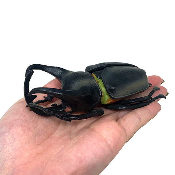 楽天市場 5体セット リアル 昆虫 ギミック フィギュア 甲虫 ヘラクレス オオカブト ミヤマクワガタ アトラスオオカブト ノコギリ 虫 ムシ カブトムシ クワガタ 模型 かぶと虫 夏 カブト ムシキング ヤマト おもちゃ 人形 オオカブト ディスプレイ 可動 Pirates