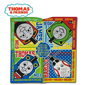 OIy񂵂g[}X@nJ`@30×30@{zObY@ct@w@@[ց@@@nJ`@gс@100@LN^[@ٓObY@@֎ԁ@[ց@