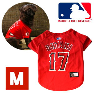  fwy@GWFX@J ĕ@f@@jtH[@W[W@M@bhzfRs@싅@x[X{[@ybgpi@^p@hbO@t@bV@EGA\@