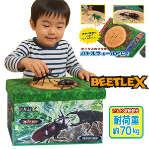 SByBEETLE X@@!@@og@ӂt@[@BOX@zӂt@Ԃƒ@JugV@NK^@Z@tB[h@o@yU@Rei@{bNX@ᔠ@