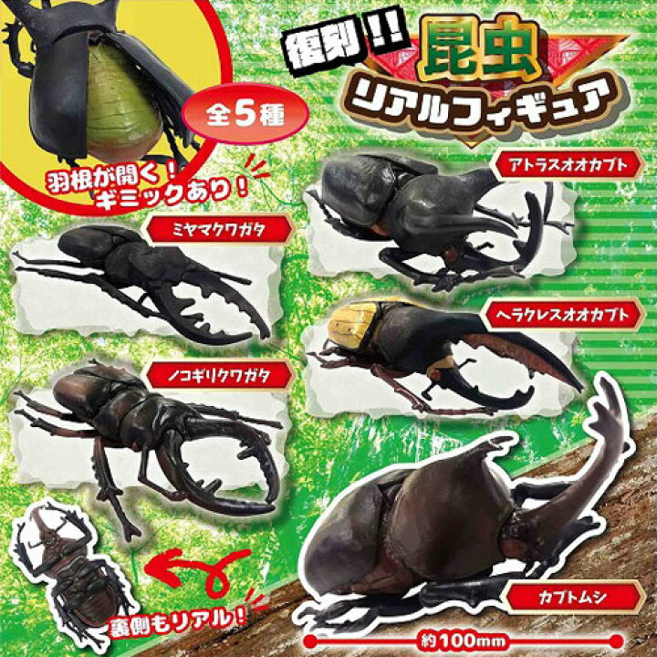 楽天市場 5体セット リアル 昆虫 ギミック フィギュア 甲虫 ヘラクレス オオカブト ミヤマクワガタ アトラスオオカブト ノコギリ 虫 ムシ カブトムシ クワガタ 模型 かぶと虫 夏 カブト ムシキング ヤマト おもちゃ 人形 オオカブト ディスプレイ 可動 Pirates