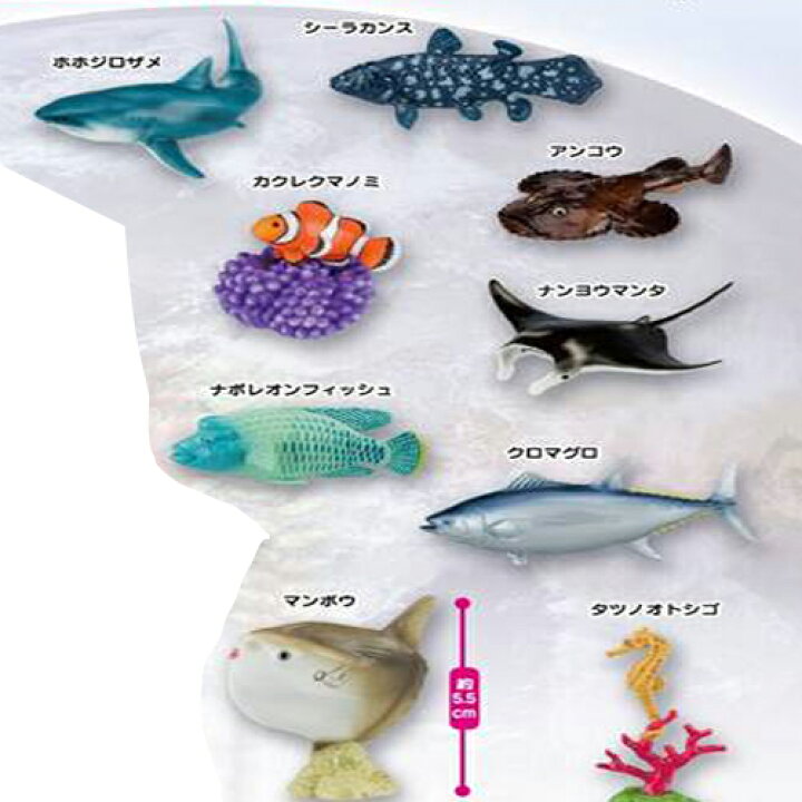 楽天市場 送料無料 ミニチュア プラネット 海のなかま フィギュア 16種 セット 魚 人形 飾り 模型 おもちゃ 動物 ミニチュア ジンベイザメ 大きい リアル サメ 鮫 クマノミ マグロ マンタ アンコウ カジキ ウツボ ホホジロザメ 海洋 タツノオトシゴ Pirates Shop