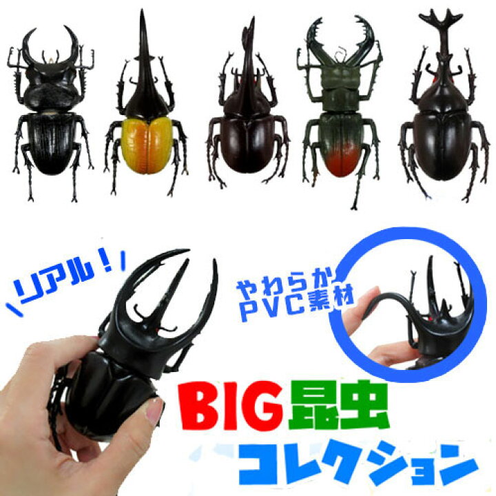 楽天市場 New 6体セット ビッグ 甲虫 セット フィギュア 昆虫 ヘラクレスオオカブト ミヤマクワガタ 虫 ムシ カブト ムシ クワガタ 虫 コーカサス 模型 子ども ヘラクレス ムシキング かぶと虫 カブトムシ おもちゃ 人形 オオカブト ディスプレイ 大きい Pirates