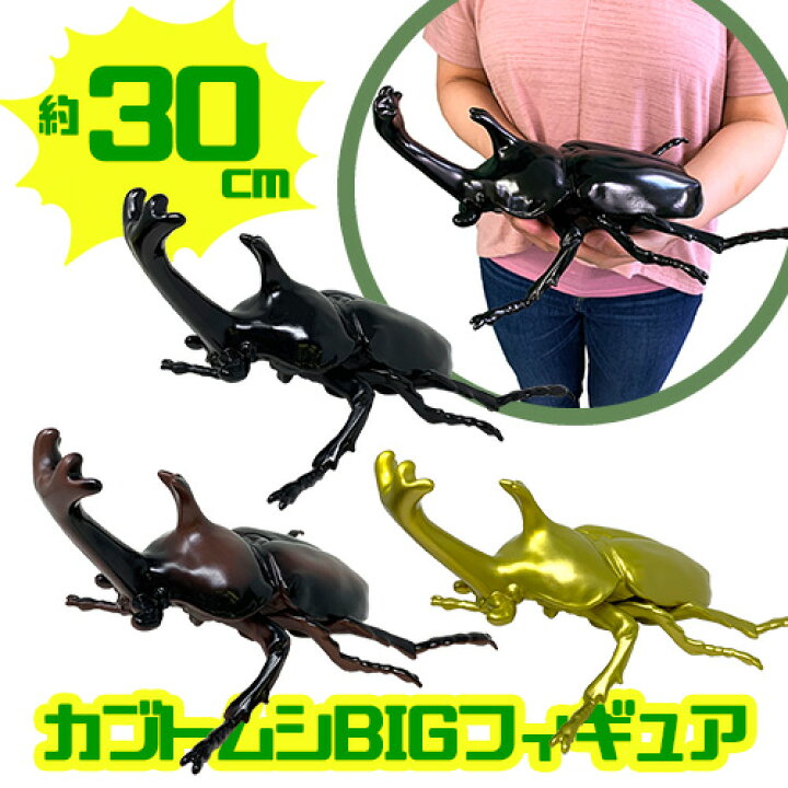 楽天市場 送料無料 3体セット ビッグ カブトムシ フィギュア 30cm 昆虫 虫 甲虫 ムシ カブト ムシ クワガタ 虫 模型 子ども オブジェ ムシキング かぶと虫 カブトムシ おもちゃ 人形 オオカブト ディスプレイ 大きい 店舗 イベント Pirates Shop 楽天市場店
