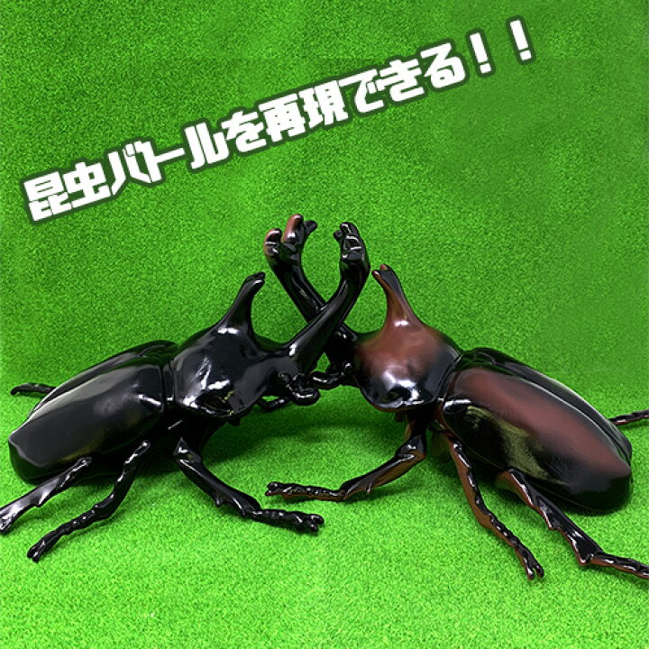 楽天市場 送料無料 3体セット ビッグ カブトムシ フィギュア 30cm 昆虫 虫 甲虫 ムシ カブト ムシ クワガタ 虫 模型 子ども オブジェ ムシキング かぶと虫 カブトムシ おもちゃ 人形 オオカブト ディスプレイ 大きい 店舗 イベント Pirates Shop 楽天市場店