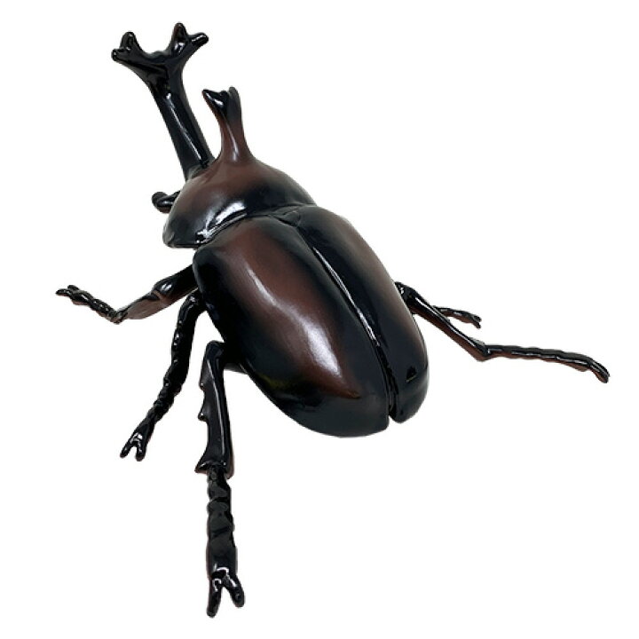 楽天市場 送料無料 3体セット ビッグ カブトムシ フィギュア 30cm 昆虫 虫 甲虫 ムシ カブト ムシ クワガタ 虫 模型 子ども オブジェ ムシキング かぶと虫 カブトムシ おもちゃ 人形 オオカブト ディスプレイ 大きい 店舗 イベント Pirates Shop 楽天市場店 楽天市場 送料無料 3体セット ビッグ カブトムシ フィギュア 30cm 昆虫 虫 甲虫 ムシ カブト ムシ クワガタ 虫 模型 子ども オブジェ ムシキング かぶと虫 カブトムシ おもちゃ 人形 オオカブト ディスプレイ 大きい 店舗 イベント Pirates Shop 楽天市場店