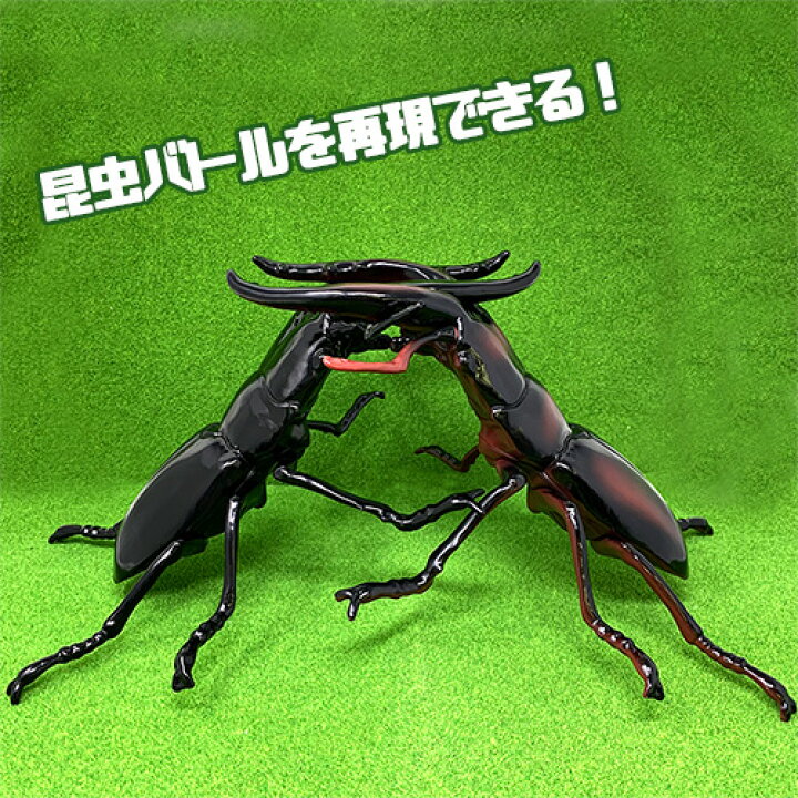 楽天市場 送料無料 3体セット ビッグ クワガタ ムシ フィギュア 30cm 昆虫 虫 甲虫 ムシ カブト ムシ クワガタ 虫 模型 子ども オブジェ ムシキング かぶと虫 カブトムシ おもちゃ 人形 オオカブト ディスプレイ 大きい 店舗 Pirates Shop 楽天市場店