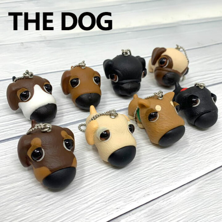 楽天市場 The Dog ザドッグ マスコット キーホルダー ボールチェーン 8種セット 人形 フィギュア 可愛い 犬 いぬ イヌ セット ラブラドールレトリバー パグ ビーグル 柴犬 ミニチュアダックスフンド ゴールデンレトリバー ダックスフンド Pirates Shop 楽天市場店