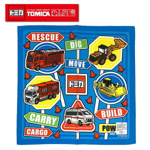 JPyg~J@nJ`@ԁ@30×30zԁ@LN^[@ObY@pgJ[@VxJ[@_vJ[@~}ԁ@hԁ@g[[@蕨@^I@TOMICA@W@wZ@ct@