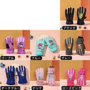 p Xm[O[u q qǂ LbY XL[ Xm{[ L h O[u h ۉ EB^[X|[c AEgbg ܖ{w  Xm[{[h XL[pi hO[u ph