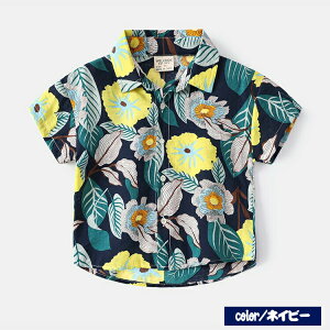 AnVc nCA qǂ LbY xr[ LbYgbvX Vc qVc j̎q WjA q LbYt@bV OJ {^ 炩n JWA  