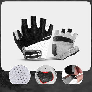 TCNO[u Y x`vX EFCgteBO rĕ  TCNO O[u w O[u wȂ dʋ ~ JbRCC ]ԃO[u  AEghA