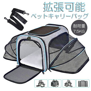 ybgL[ obO L [obO g\ 4way V_[ E^LE^Ep ܂肽 ʋC LCȂ ~ɋ ԍ/hCu/LsO/s/ʉ@/