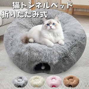 Lgl^xbh Lgl Lxbhh[ic^ 90cm S^ Lbggl NbVt ӂӂ LV ^s΍ ܂肽݉\ 􂢉\ ^  ^Lp