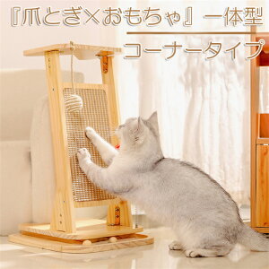 L ܌ Lp ǃR[i[܂Ƃ VRؐLbgc[ L̂ ݂{[傫Ȗ{[ ܌}bg ƋǊp ی TCU