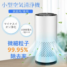 空気清浄機小型車内コンパクト軽量省エネUSB給電ペットマイナスイオンほこりpm2.5アロマ静音除菌脱臭タバコ父の日