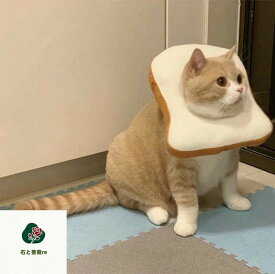 送料無料エリザベスカラー猫パントースト食パン全5サイズ猫用エリザベスカラー犬犬用ペットウェアおしゃれ猫グッズ小型犬犬グッズソフト柔らかいふわふわクッション軽量手術傷保護足舐め防止引っ掻き防止去勢手術介護保護襟海外通販