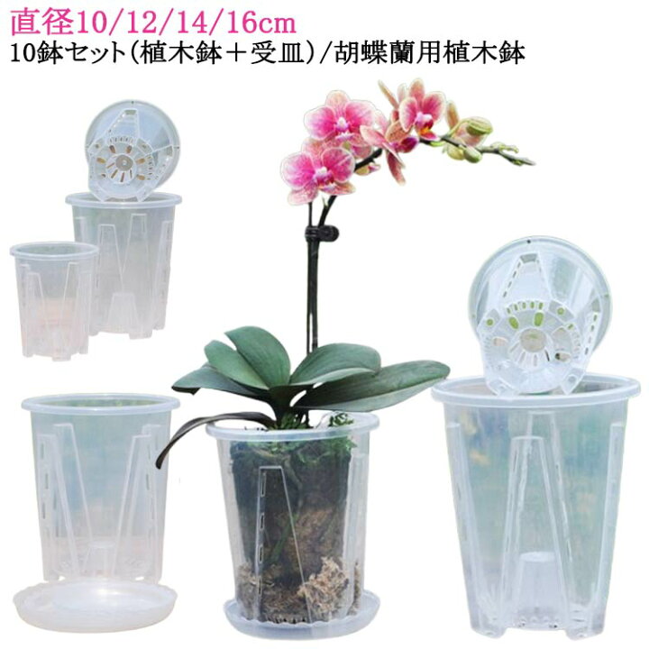 楽天市場】穴付き 受皿付き プラスチック 洋蘭鉢 植木鉢 透明 10鉢 