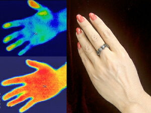 yXn[gzC_CGbgO fB[X t[TCY n[g