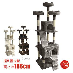 Lbg^[ u^ ^ 186cm ܂Ƃ ^s XgX X[v B Lpi