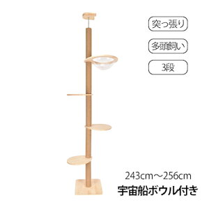 Lbg^[˂^Cv ؐ X FD{E L^[ ܂Ƃ ȃXy[X ؓo