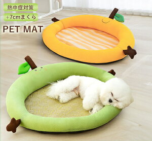 ybg  }bg xbh  ^ ^}bg K NbV MǑ΍ ⊴ bV