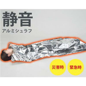 ÉA~Vt ΍ ЊQ ΍ɁIЊQ OCՒf ۉ