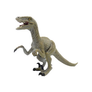 88034 Collecta RN^ FLvg  _Ci\[ tBMA ߋ Mtg v[g a RNV