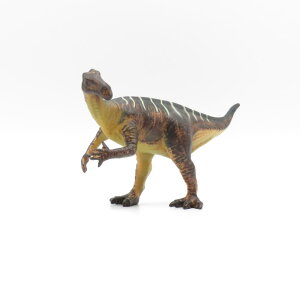 88145 Collecta RN^ COAmh  _Ci\[ tBMA ߋ Mtg v[g a RNV