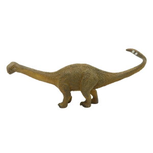 88227 Collecta RN^ VmTEX  _Ci\[ tBMA ߋ Mtg v[g a RNV