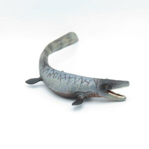 88320 Collecta RN^ eBTEX  _Ci\[ tBMA ߋ Mtg v[g a RNV