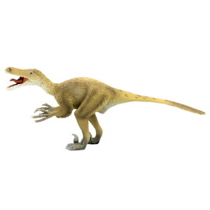 88407 Collecta RN^ FLvgfbNX(1F6)  _Ci\[ tBMA ߋ Mtg v[g a RNV