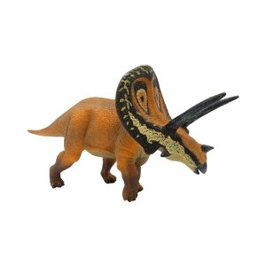 88512 Collecta RN^ gTEX  _Ci\[ tBMA ߋ Mtg v[g a RNV