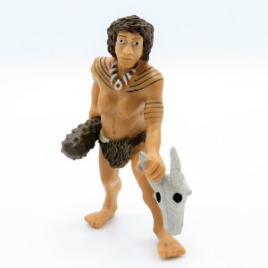 88527 Collecta RN^ lAf^[()  _Ci\[ tBMA ߋ Mtg v[g a RNV