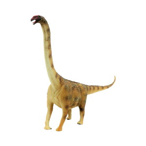 88547 Collecta RN^ A[`mTEX  _Ci\[ tBMA ߋ Mtg v[g a RNV