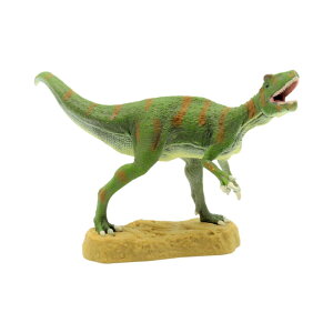 88857 Collecta RN^ tNCvg  _Ci\[ tBMA ߋ Mtg v[g a RNV