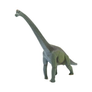 88121 Collecta RN^ uLITEX  _Ci\[ tBMA ߋ Mtg v[g a RNV