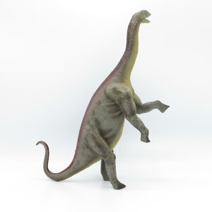 88395 Collecta RN^ WoAfbNX  _Ci\[ tBMA ߋ Mtg v[g a RNV