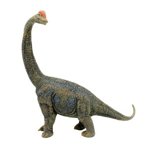 88405 Collecta RN^ uLITEXfbNX(1F40)  _Ci\[ tBMA ߋ Mtg v[g a RNV