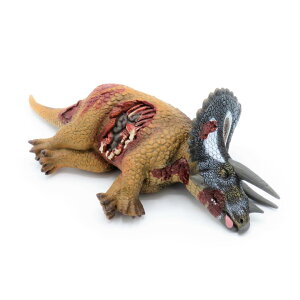 88528 Collecta RN^ gPgvX([)  _Ci\[ tBMA ߋ Mtg v[g a RNV