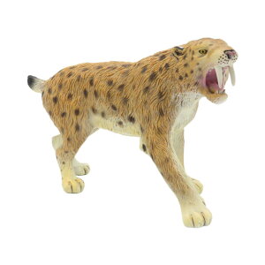 88715 Collecta RN^ T[x^CK[  _Ci\[ tBMA ߋ Mtg v[g a RNV