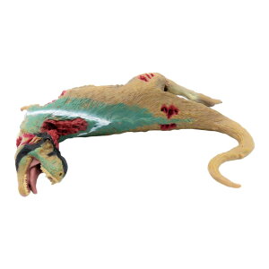 88743 Collecta RN^ eBmTEX([)  _Ci\[ tBMA ߋ Mtg v[g a RNV