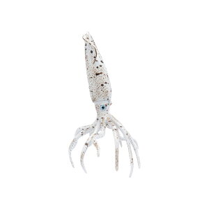 88904 Collecta RN^ ׃iCg  _Ci\[ tBMA ߋ Mtg v[g a RNV