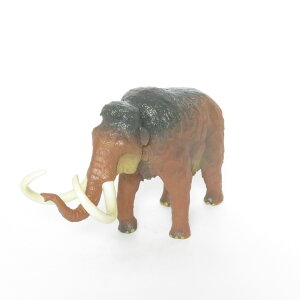 tFobg\tgf PiK}X \tgf FP-002 Favorite tBMA _Ci\[  ߋ a Mtg v[g