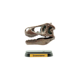 tFobg  ~jf XJ eBmTEX FDW-501 tBMA favorite _Ci\[  ߋ a v[g Mtg RNV