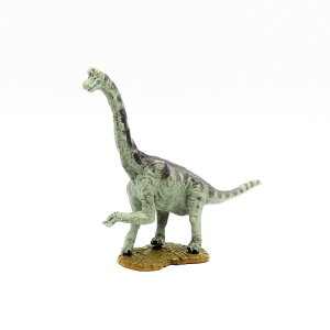 tFobg  ~jf uLITEX FDW-206 tBMA favorite _Ci\[  ߋ a v[g Mtg RNV