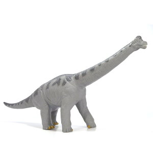 tFobg  tBMA uLITEX rj[f v~AGfBV FD-354 Favorite  a Mtg