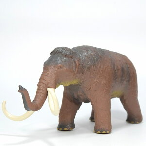 tFobg tBMA PiK}X rj[f FP-302 Favorite Ð  a Mtg