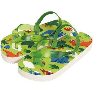  LbYr[`T_ uDINOSAURSv XP[^[ 15cm 16cm 17cm 18cm 19cm C r[` v[ j̎q ̎q  qC LbYT_ LbY q EVA XP[^[